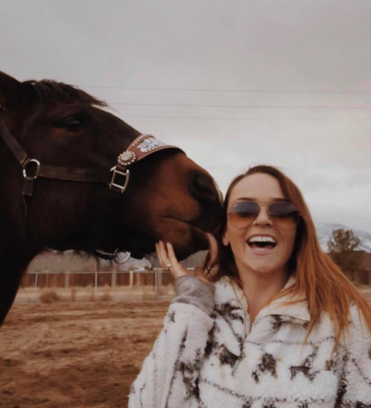 Winter Barrel Racing 5 Tips to Keep Your Horses Healthy during Winter – Barrel Racing Planners