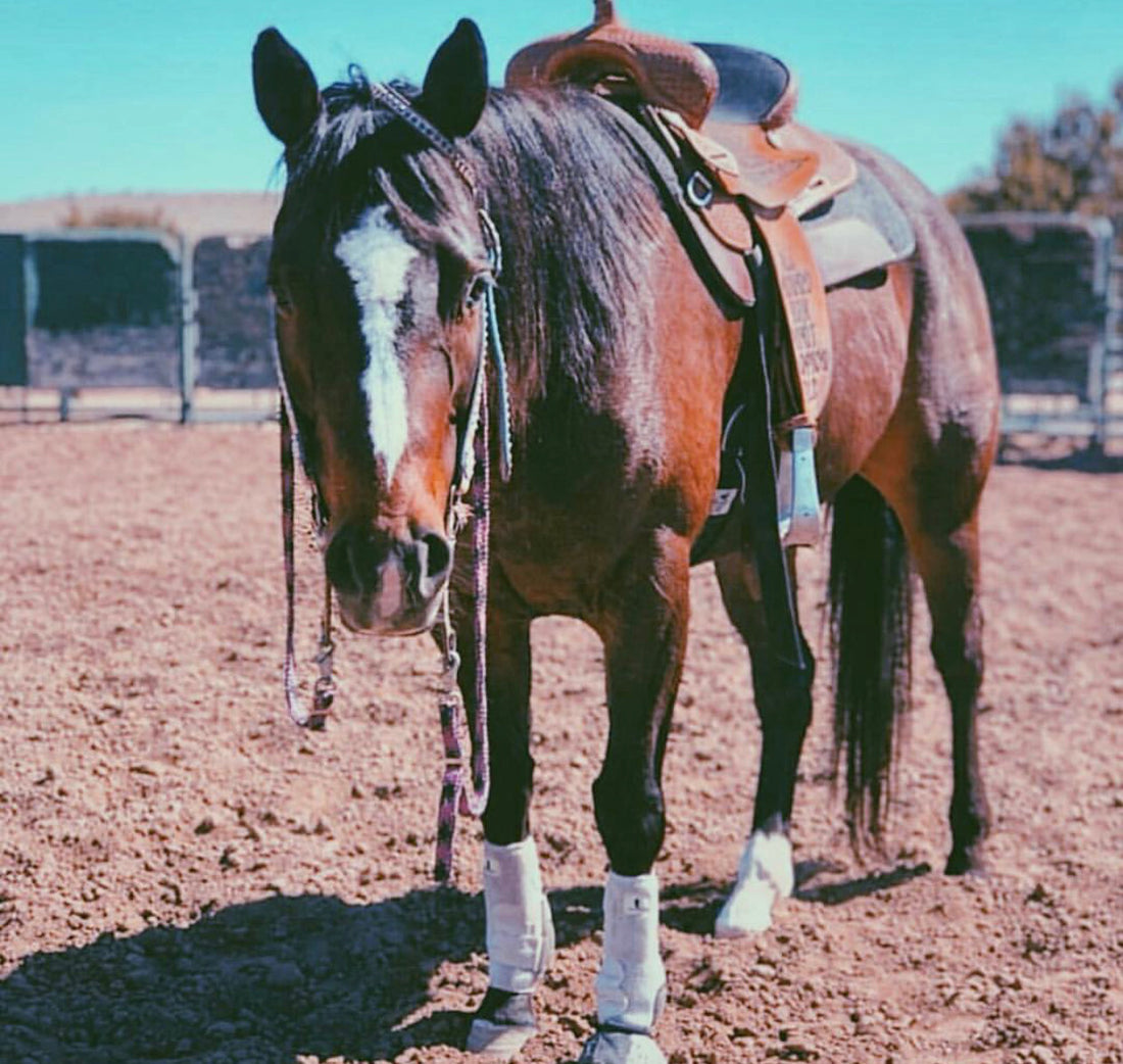 You can have my Barrel Race Jackpot Packing List! (for free, of course)